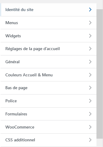 Barre latérale de personnalisation du thème